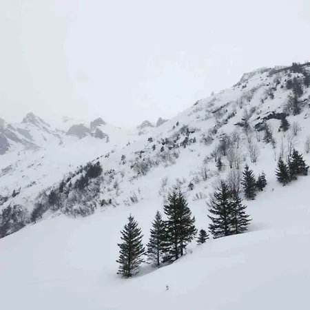 Modern Comfy Queen Bed Fast Wifi 펜션 라우터브루넨