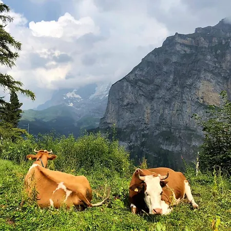 Modern Comfy Queen Bed Fast Wifi *