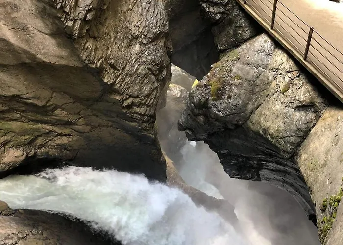 בית נופש Terrace With View-Cozy Retreat-Free Parking *