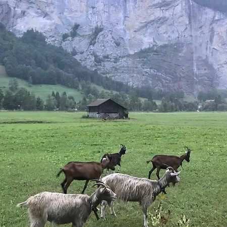 Modern Comfy Queen Bed Fast Wifi Nyaraló